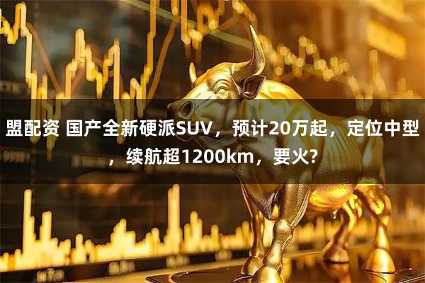 盟配资 国产全新硬派SUV，预计20万起，定位中型，续航超1200km，要火?
