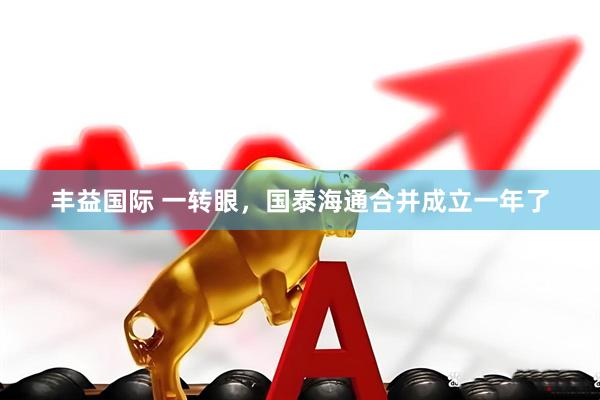 丰益国际 一转眼，国泰海通合并成立一年了